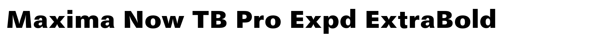 Maxima Now TB Pro Expd ExtraBold image